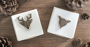 brooches